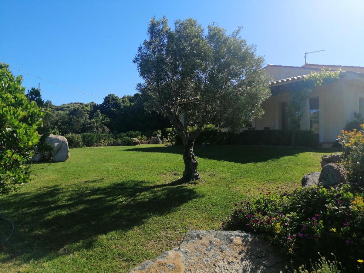 Agriturismo Fioredda Aglientu Exterior photo